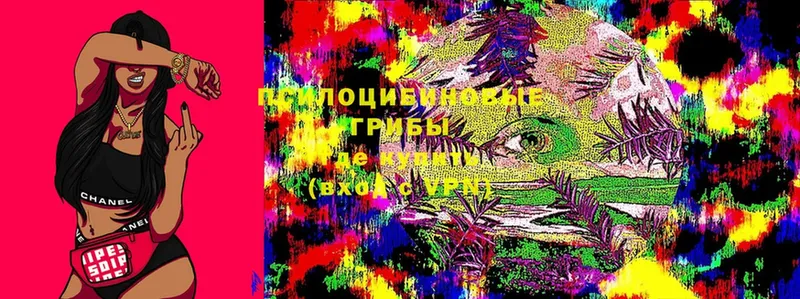 Галлюциногенные грибы Magic Shrooms  Клин 